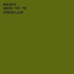 #5E6813 - Green Leaf Color Image